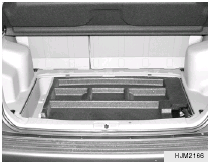 Luggage Under Tray