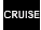 Cruise Indicator (If installed)